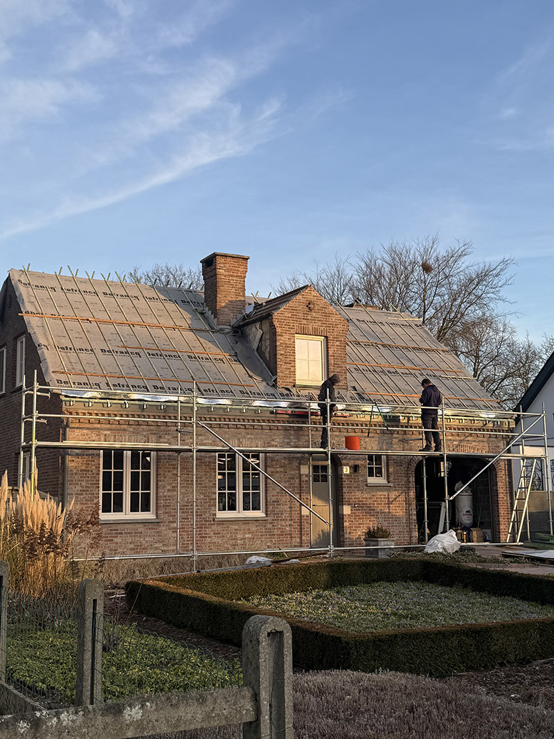 Project Image /images/projecten/dakbedekking-steenokkerzeel-1/IMG_2728.jpg